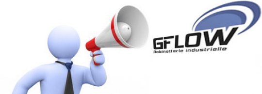 Démarrage GFLOW, votre expert en robinetterie industrielle